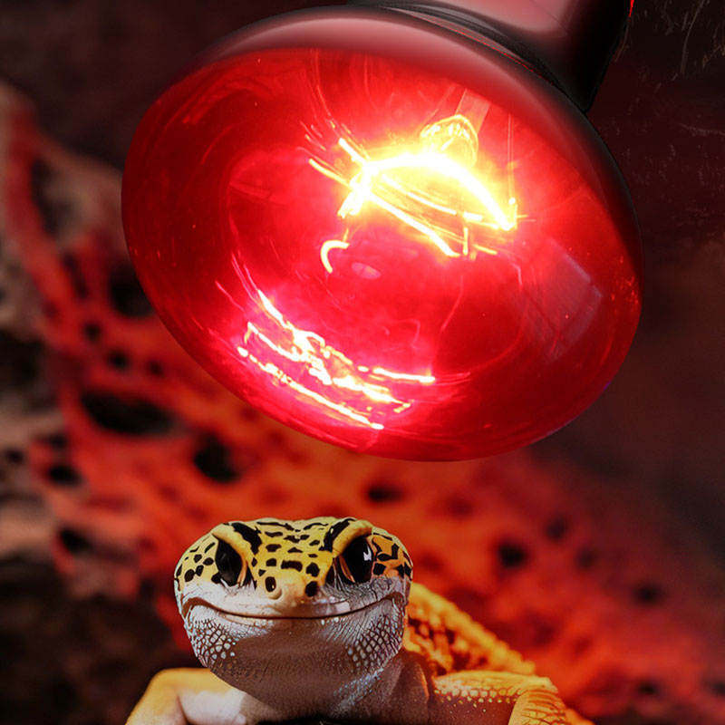 Reptile Heat Lamp 100V/220V In - Gecko Lighting & Decor recensie en prijs