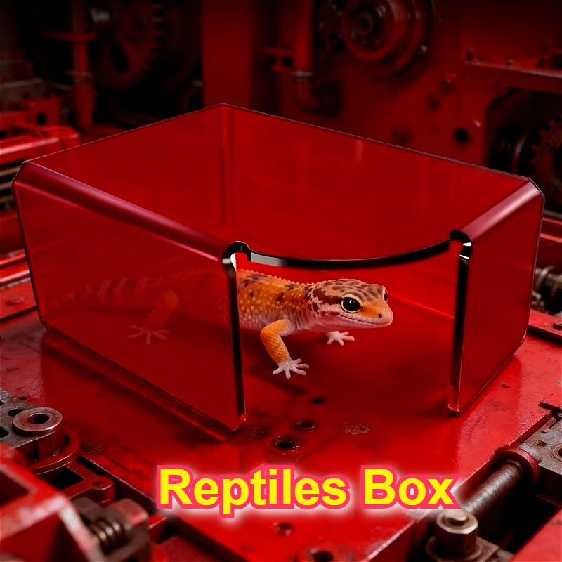 Red Acrylic Reptile Box Habita - Gecko Lighting & Decor recensie en prijs