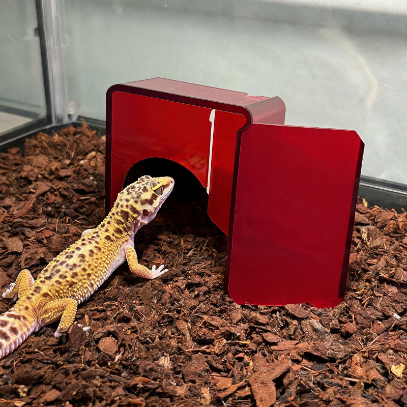 Red Acrylic Reptile Box Habita - Gecko Lighting & Decor recensie en prijs