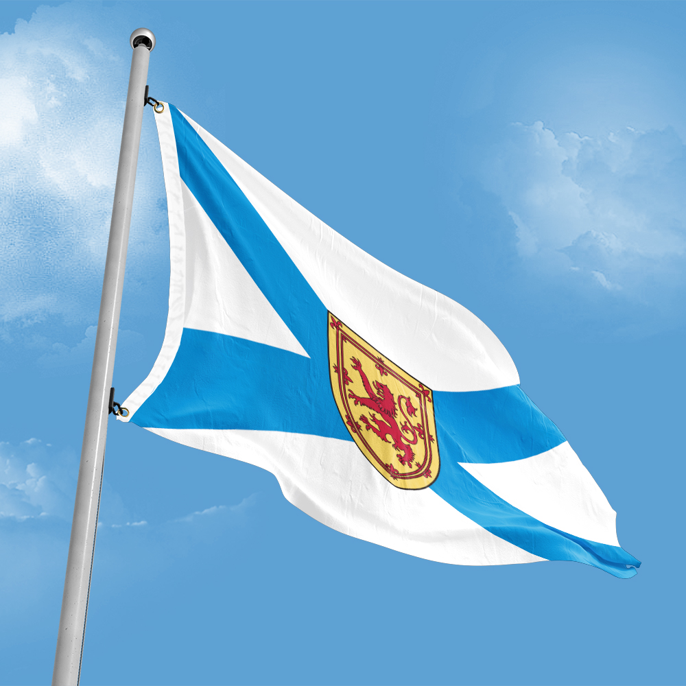 Canada Flag of Nova Scotia 3ft - Nova Decor & Lighting Juletrelys recensie en prijs