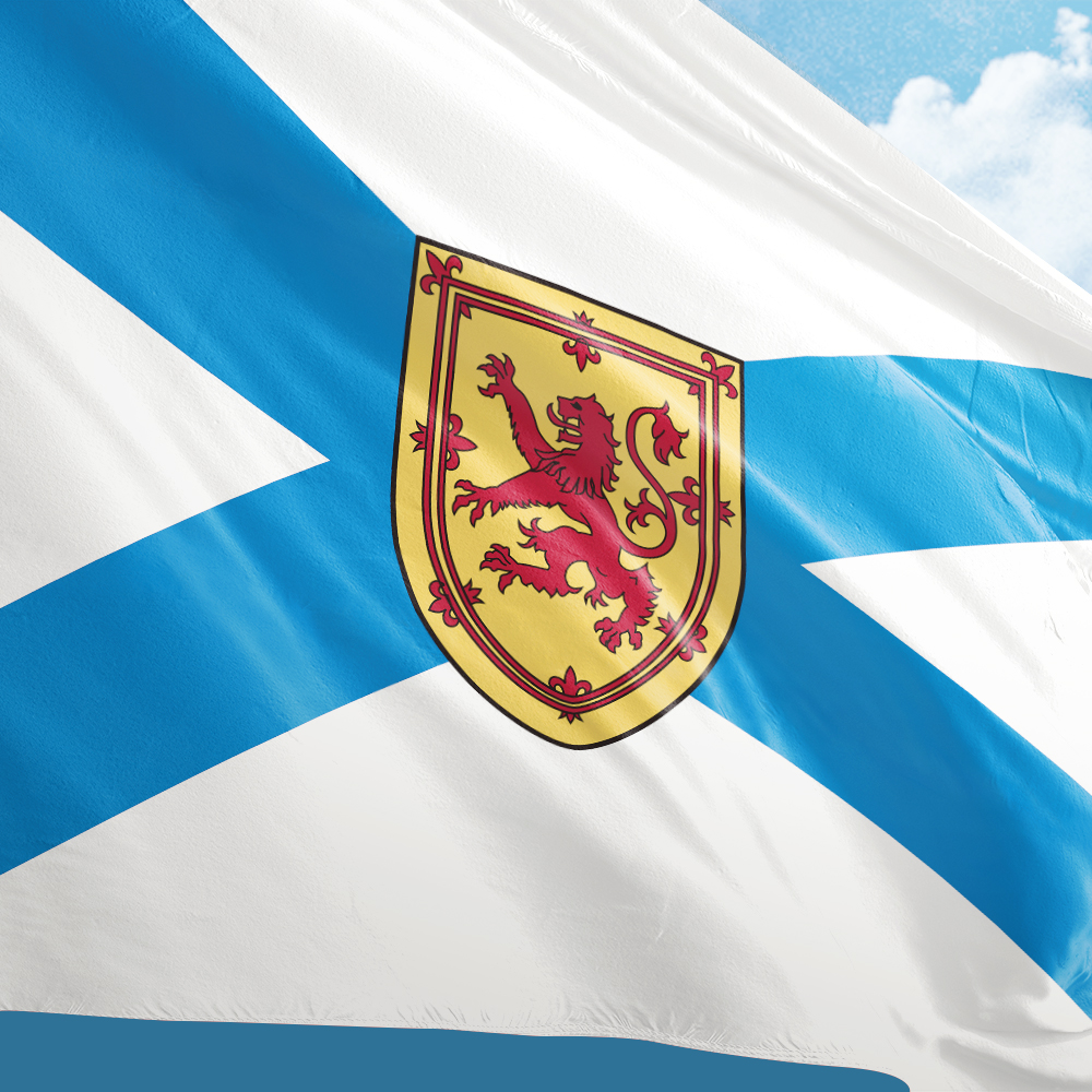 Canada Flag of Nova Scotia 3ft - Nova Decor & Lighting Juletrelys recensie en prijs