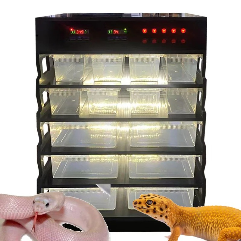 Intelligent PVC Reptile Furnit - Gecko Lighting & Decor recensie en prijs