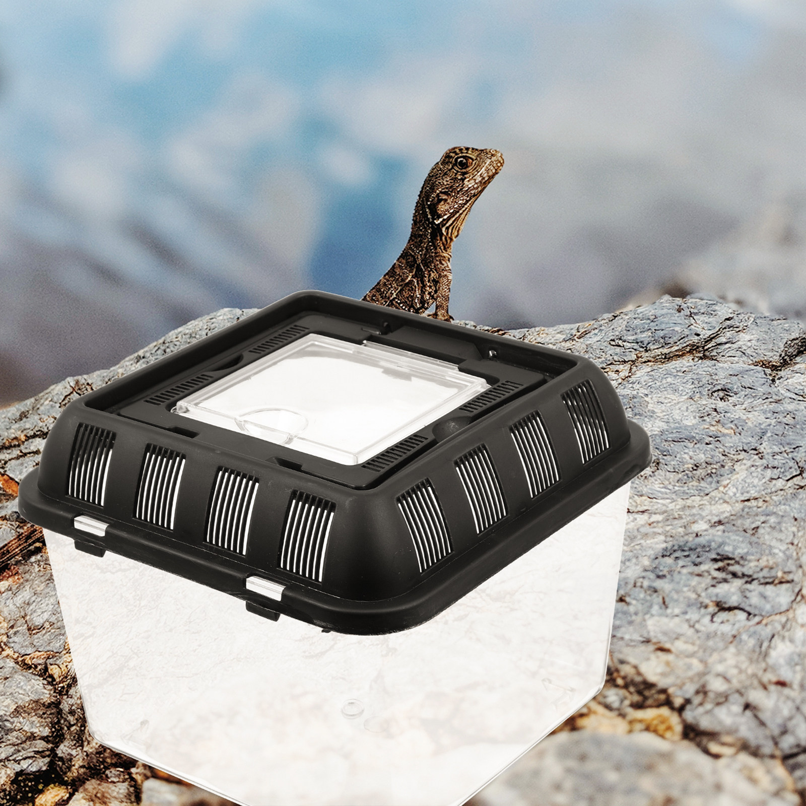 Professional Reptile Breeding  - Gecko Lighting & Decor recensie en prijs