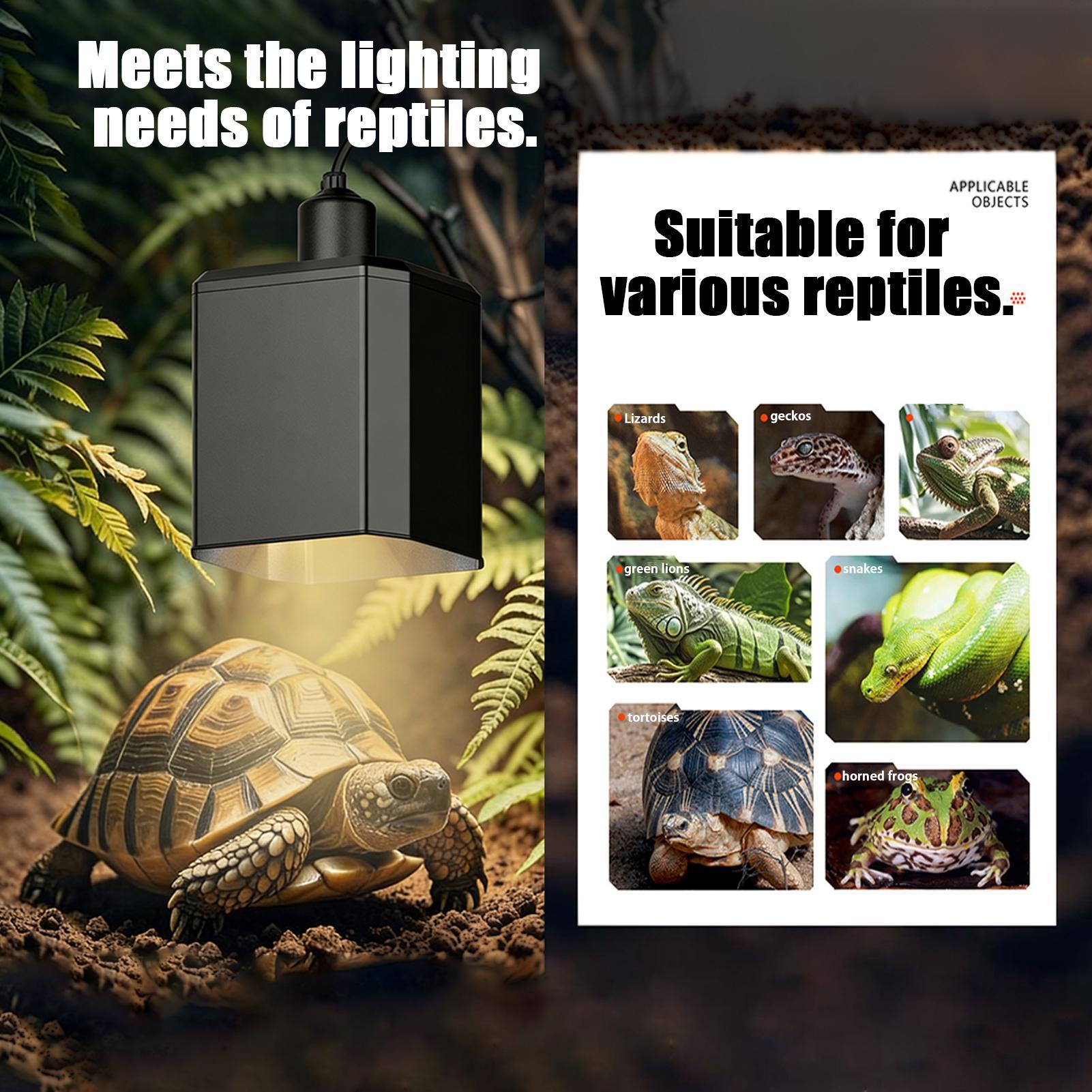 Heat Lamp Shade For Reptiles T - Gecko Lighting & Decor recensie en prijs