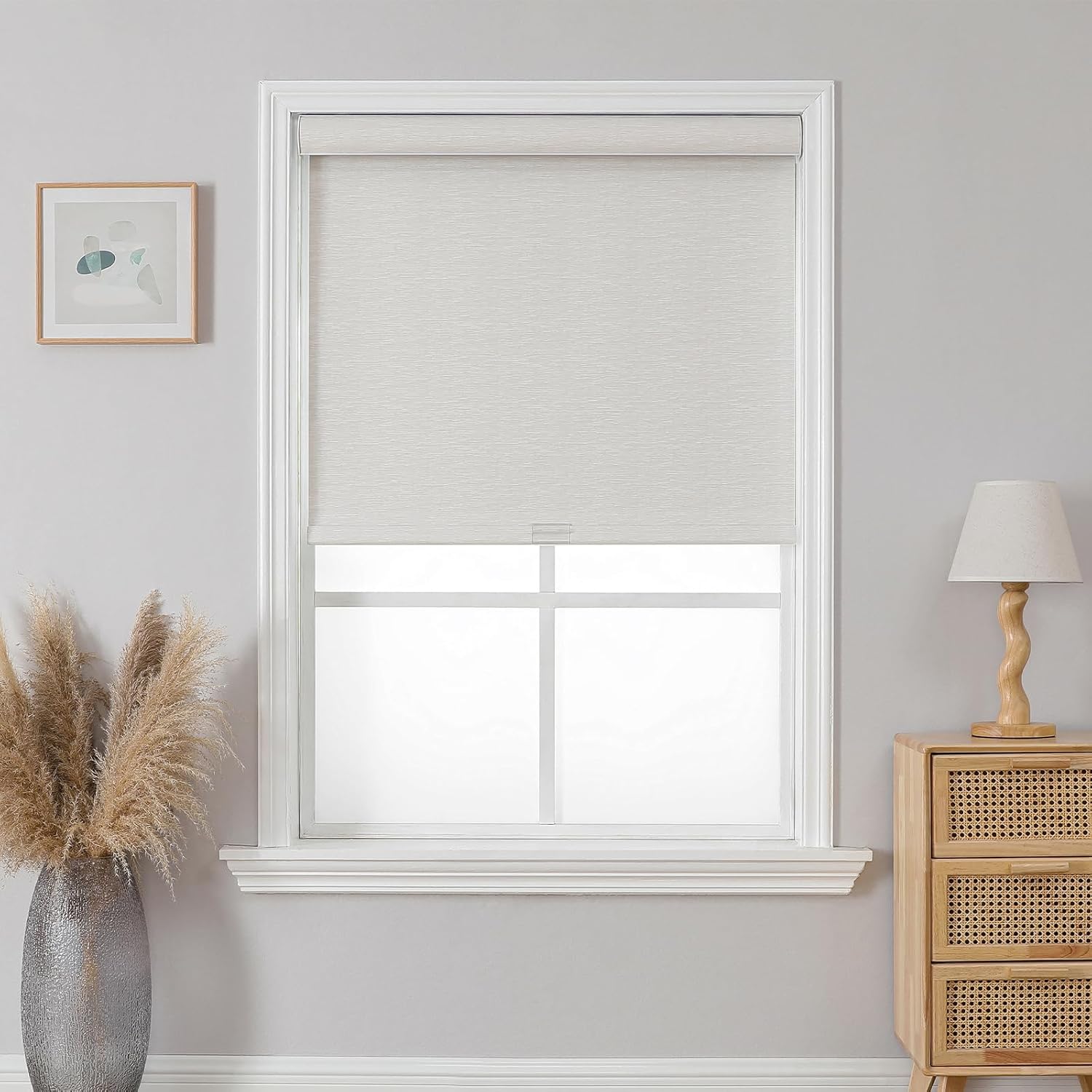 Cordless Blackout Roller Shade - Office Lighting Decor recensie en prijs