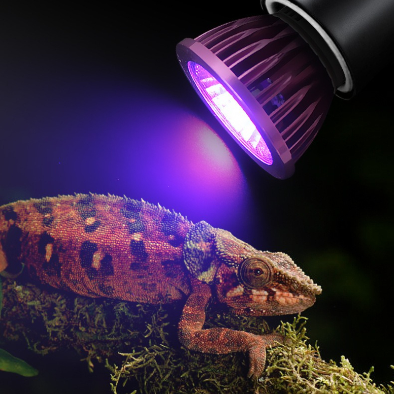 NOMOY Moonlight LED Night Ligh - Gecko Lighting & Decor recensie en prijs