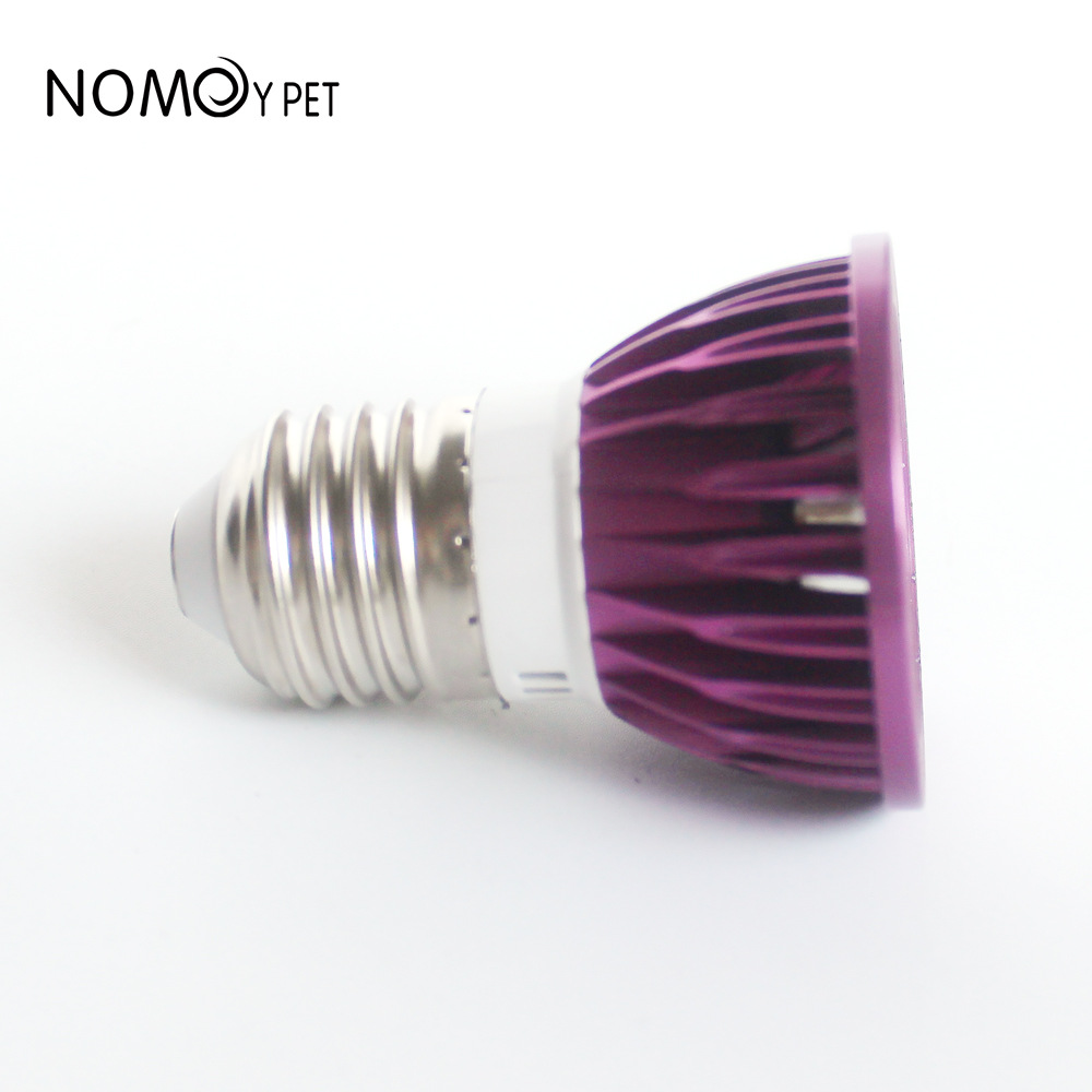 NOMOY Moonlight LED Night Ligh - Gecko Lighting & Decor recensie en prijs